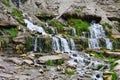 Spring spout from the ground, around the green grass, moss and stones with flagstones