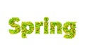 Spring. Spring theme quilling letter from quilling fonts collection. Hello spring.