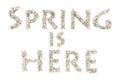 Spring. Spring theme quilling letter from quilling fonts collection. Hello spring.