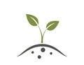 spring sprout icon. farming, planting, seedling and growing symbol