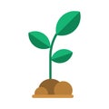 Spring Sprout Icon