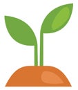 Spring sprout, icon