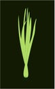 Spring Sprouting onion isolated on black background. Lined vector illustration. Fresh green food Royalty Free Stock Photo