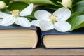 During spring, a stack of vintage books is nestled among blooming flowers in a serene outdoor setting Royalty Free Stock Photo