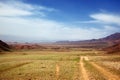 Spring steppe in Kazakhstan