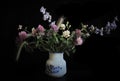 Spring still life, a bouquet of flowers of clover and herbs with spikelets in a flowerpot on a black background Royalty Free Stock Photo