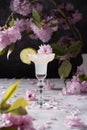 Spring still life with a glass of cold Margarita with lime, pink sakura flowers