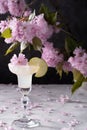 Spring still life with a glass of cold Margarita with lime, pink sakura flowers