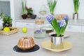 Spring still life, kitchen table with cake Royalty Free Stock Photo