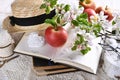 Spring still life in romantic style with apple blossoms on old books Royalty Free Stock Photo