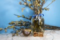 Spring still life with willow branches and a cup of tea. Royalty Free Stock Photo