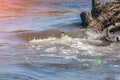 spring stormy water rushing stream Royalty Free Stock Photo