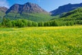 Spring in Straumfjord Royalty Free Stock Photo