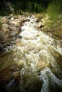 Spring Stream Royalty Free Stock Photo