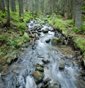 Spring stream in the Carpathians. Royalty Free Stock Photo