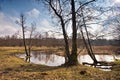 Spring stream. Early spring on small river. Royalty Free Stock Photo