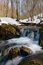 Spring stream in forest Royalty Free Stock Photo