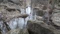 Spring stream in the forest after the snow melts