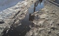 Spring stream, ice and snow, dazzling sunlight, reflection of sky in water