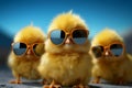 Spring style Yellow chick in sunglasses, small, happy, farm baby