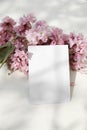 Spring styled stock photo. Blossoming pink Japanese cherry tree, sakura branch. Vertical feminine ww.edding blank