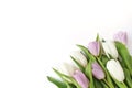 Spring styled stock photo. Easter concept. Feminine desktop scene with bouquet of white and violet tulip flowers on