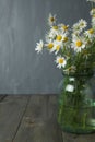 Spring summer autumn seasonal bouquet of wild small white daisies with a yellow center in a glass vase on the EP Royalty Free Stock Photo