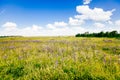 Rural road in green grass field meadow scenery lanscape with blue sky Royalty Free Stock Photo