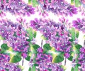 Lilac pattern Royalty Free Stock Photo