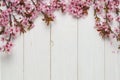 Spring and summer cherry pink blossom on a vintage wood background