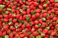 Spring summer detox fruit vegetable diet. Close up of harvest pile. Supermarket stand of clean and shiny vegetables / fruits assor Royalty Free Stock Photo