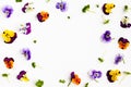 Spring or summer flower composition with edible pansy and micro greens on white background. Flat lay, copy space. Healthy life Royalty Free Stock Photo