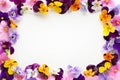 Spring or summer flower composition with edible pansy and violets on white background. Flat lay, copy space. Healthy life concept