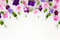 Spring or summer flower composition with edible violets and micro greens on white background. Flat lay, copy space. Healthy life