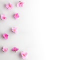 Spring or summer flower composition with edible violets on white background. Flat lay, copy space. Healthy life and flowers