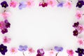 Spring or summer flower composition with edible violets on white background. Flat lay, copy space. Healthy life and flowers