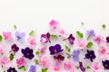 Spring or summer flower composition with edible violets on white background. Flat lay, copy space. Healthy life and flowers