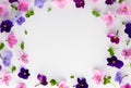 Spring or summer flower composition with edible violets on white background. Flat lay, copy space. Healthy life and flowers