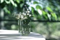 spring or summer flower in a glass jar on the green garden background. Glass jar with beautiful flower on a white table. Use for Royalty Free Stock Photo