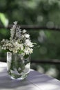 spring or summer flower in a glass jar on the green garden background. Glass jar with beautiful flower on a white table. Use for Royalty Free Stock Photo