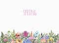 Watercolor meadow illustration. Wildflowers border. Bright colorful spring flowers, greenery leaves, grass, isolated on white Royalty Free Stock Photo