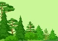Spring or summer forest. Background with stylized trees. Seasonal illustration.