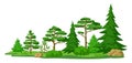 Spring or summer forest. Background with stylized trees. Seasonal illustration.