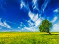 Spring summer green field scenery lanscape with Royalty Free Stock Photo