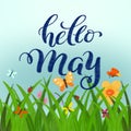Spring or summer hand drawn clip art - green grass with flowers and butterflies border with hand drawn hello May for spring poster Royalty Free Stock Photo