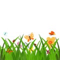 Spring or summer hand drawn clip art - green grass with flowers and butterflies border isolated without background for spring Royalty Free Stock Photo