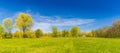 Summer spring landscape panorama. Green trees and green grass under blue sky Royalty Free Stock Photo