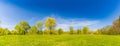 Summer spring landscape panorama. Green trees and green grass under blue sky Royalty Free Stock Photo