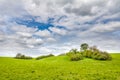 Spring or summer landscape with green meadow and amazing clouds Royalty Free Stock Photo