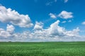 Spring or summer landscape with green meadow and blue sky Royalty Free Stock Photo